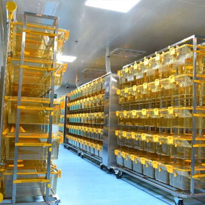 浙江动物培养舱